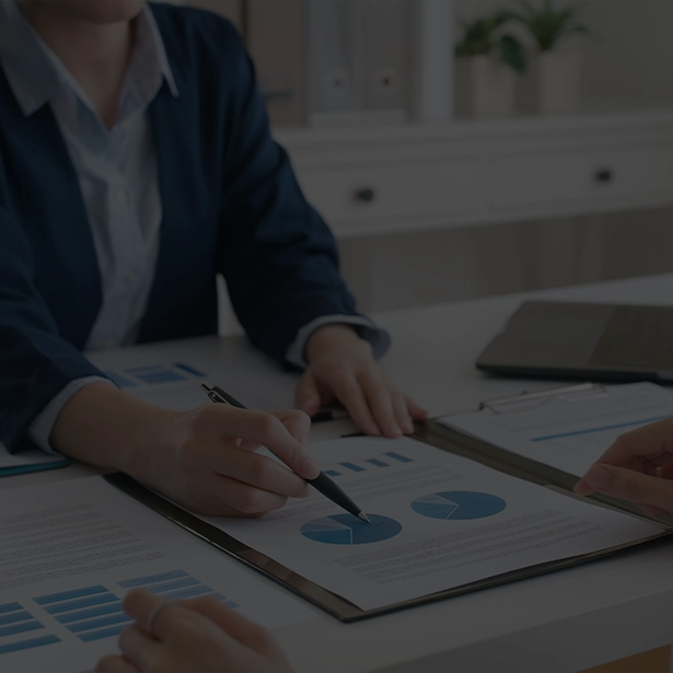 Image hover effect image