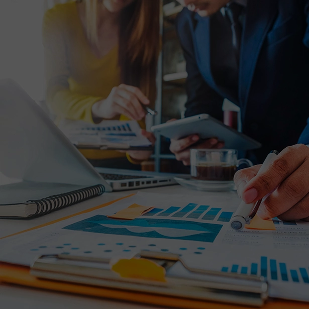 Image hover effect image