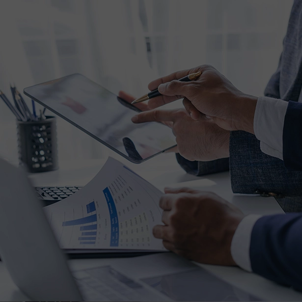 Image hover effect image